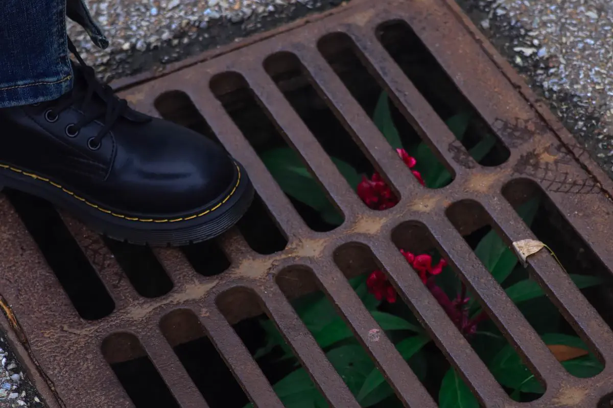 Free Close-up of a foot in black boot next to vibrant red flowers through a drain. Stock Photo